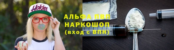 молекула духа Арсеньев