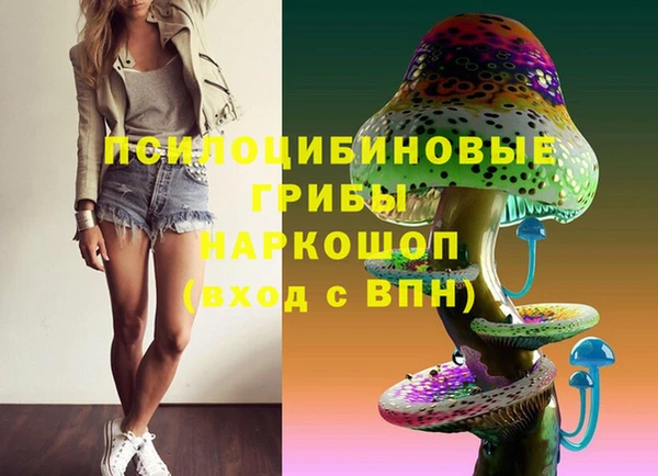 молекула духа Арсеньев