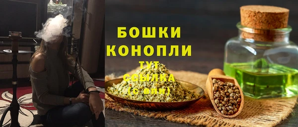молекула духа Арсеньев