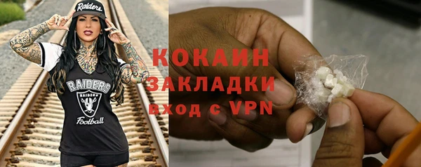 молекула духа Арсеньев